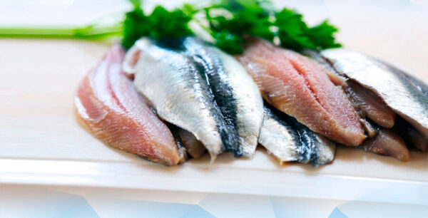 sardinas filetes 900g Congemar